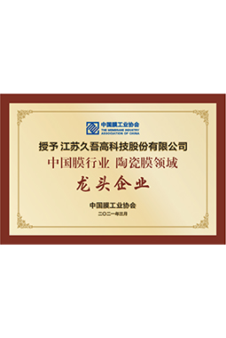 中國膜行業91视频黄片版領域龍頭企業