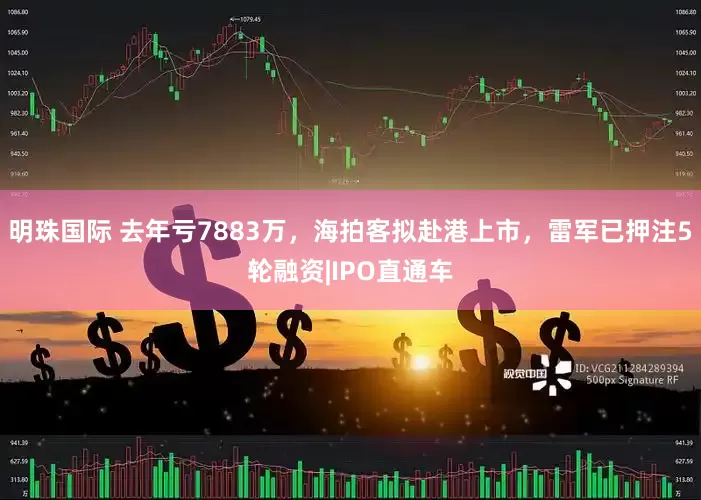 明珠国际 去年亏7883万，海拍客拟赴港上市，雷军已押注5轮融资|IPO直通车