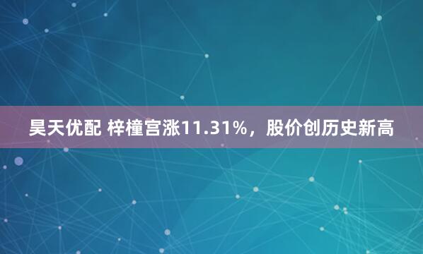 昊天优配 梓橦宫涨11.31%，股价创历史新高