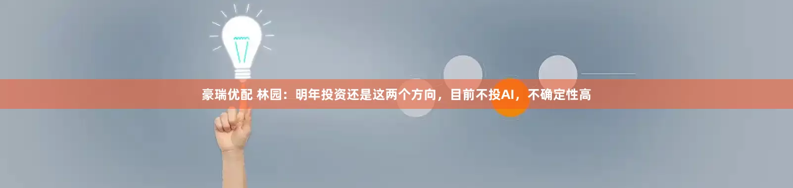 豪瑞优配 林园：明年投资还是这两个方向，目前不投AI，不确定性高